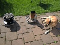 Weiterlesen: Das Essen muß bewacht werden